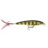 Rapala X - Rap PEL (Live Perch)