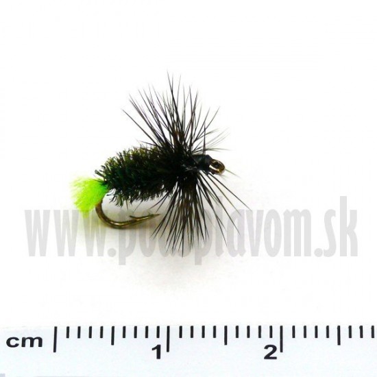 RVFLY Mucha Green Tag 