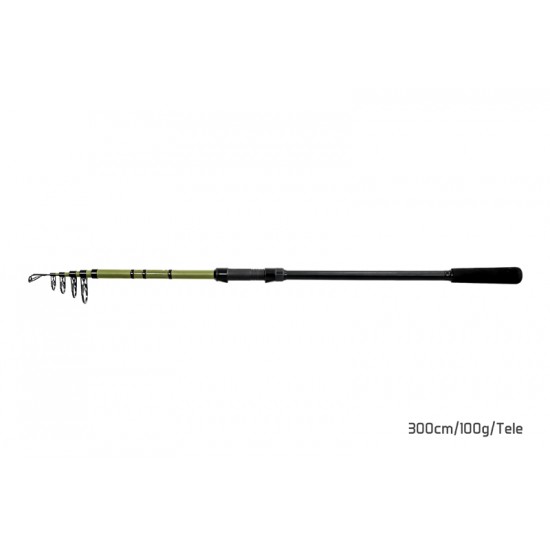 Delphin PARTISAN 240cm/50g/Tele