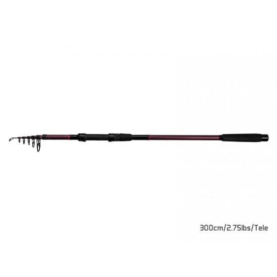 Delphin TAIGA NXT 300cm/2,75lbs/Tele Delphin TAIGA NXT 300cm/2,75lbs/Tele