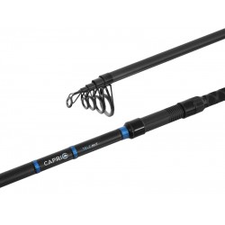 Delphin CAPRI Tele NXT 270cm/80g