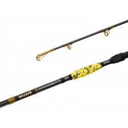 Delphin HAZARD BxG 255cm/505g/2 diely