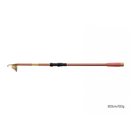 Delphin QUEEN Tele 300cm/100g Delphin QUEEN Tele 300cm/100g
