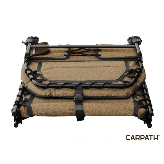 Delphin GT6 Carpath Delphin GT6 Carpath
