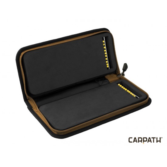 Delphin Area RIG Carpath