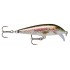 Rapala Scatter Rap Countdown RTL (Live RainbowTrout)